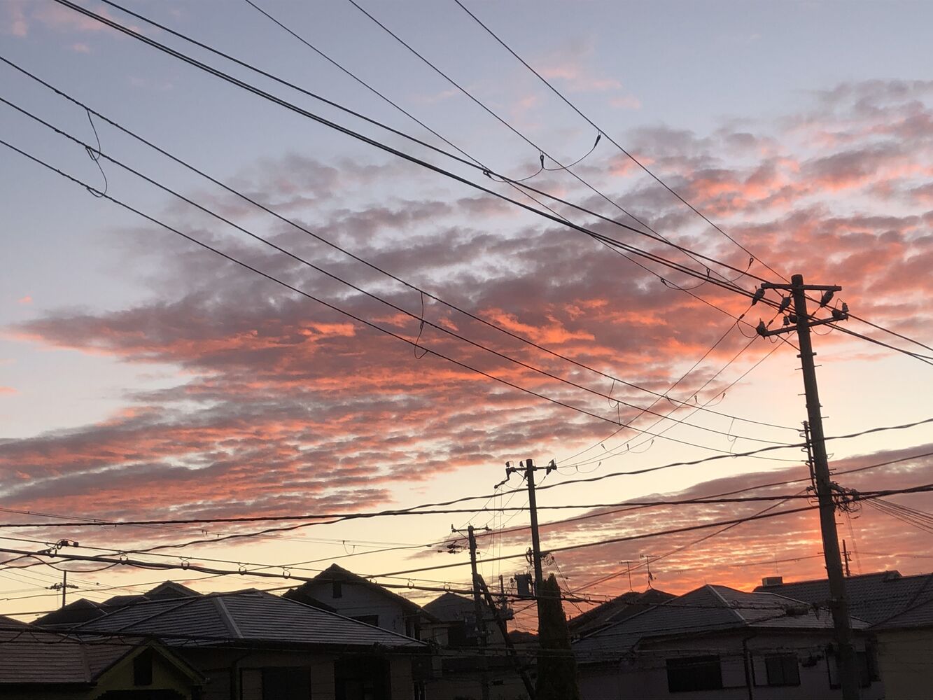 画像1622
